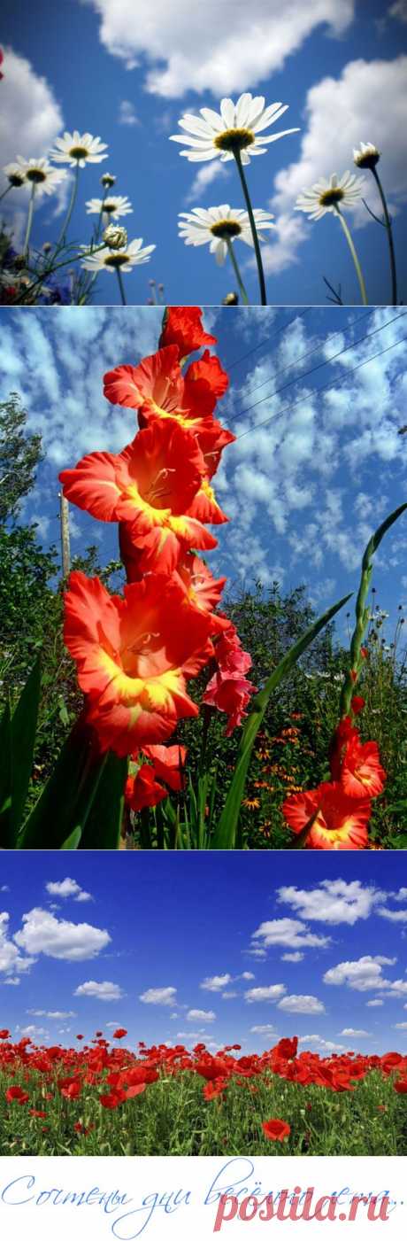 Сочтены дни весёлого лета...))) (перепост).