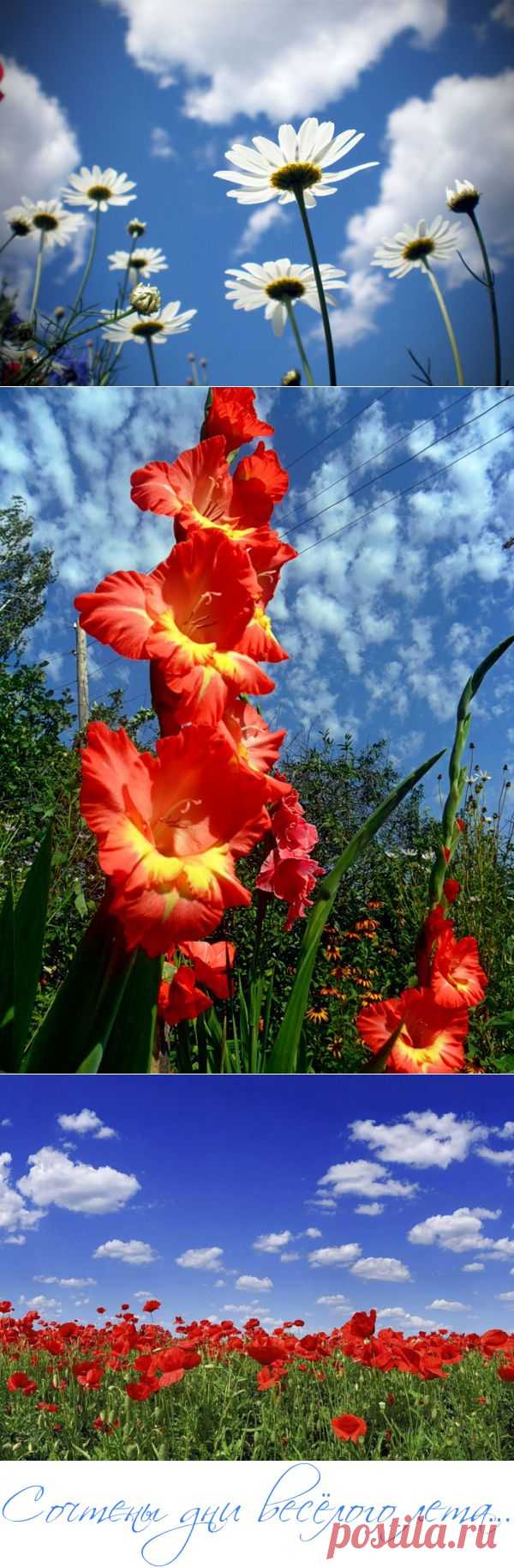 Сочтены дни весёлого лета...))) (перепост).