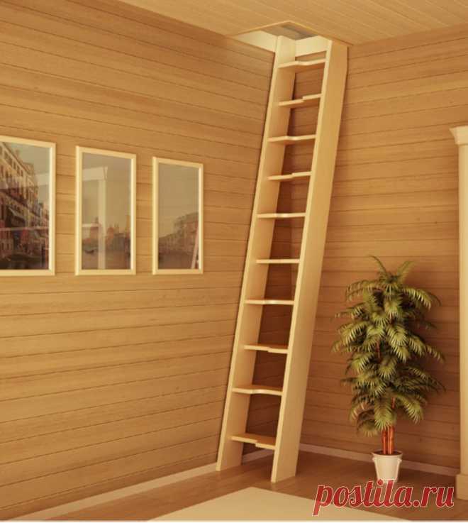 как сделать лаз на чердак из дома: 20 тыс изображений найдено в Яндекс.Картинках