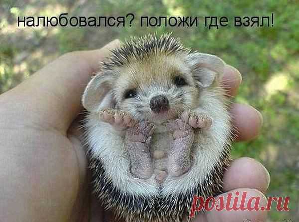 Фото пользователя Кадра, Цимлянск,