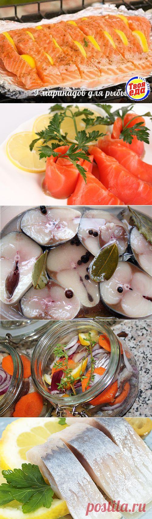 Маринад для рыбы — 9 лучших рецептов.