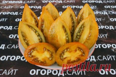 Томат Ореховая слива (Софии Сааковой), семена | ОГОРОД.сайт