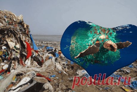 🔥 Исследователи предупреждают: к 2040 году количество пластика, попадающего в океаны, увеличится в 3 раза
👉 Читать далее по ссылке: https://lindeal.com/research/issledovateli-preduprezhdayut-k-2040-godu-kolichestvo-plastika-popadayushchego-v-okeany-uvelichitsya-v-3-raza