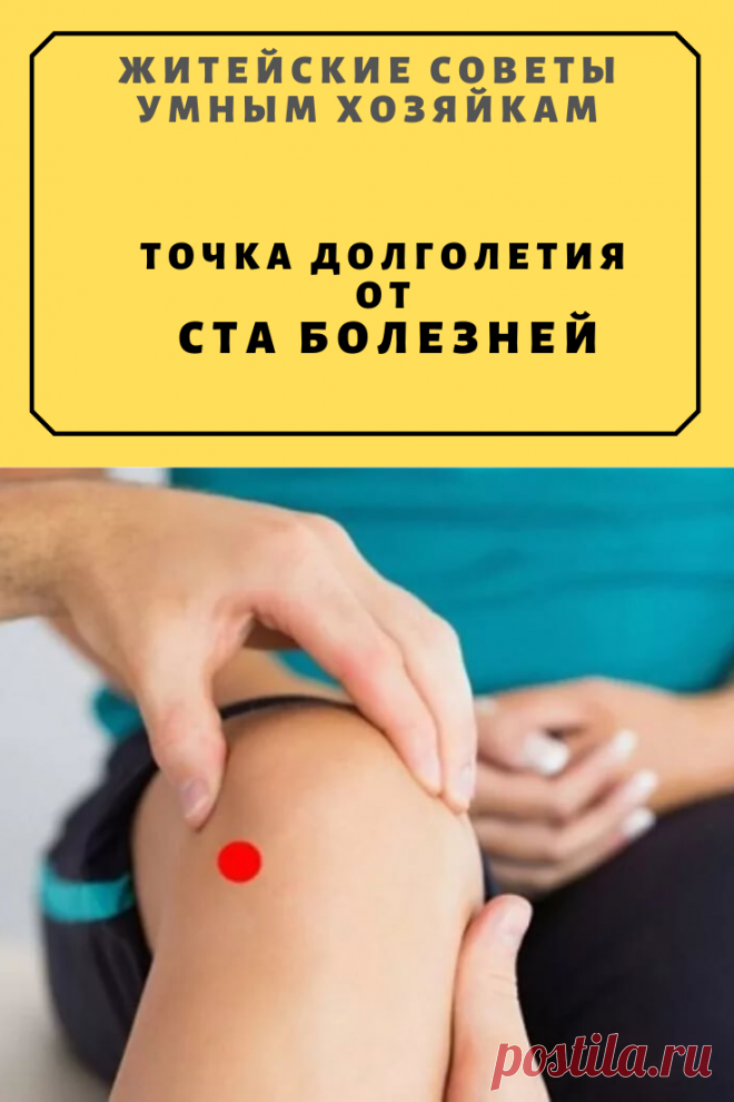 Точка долголетия от ста болезней | Житейские Советы