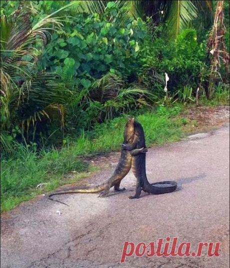 Больше, чем фото