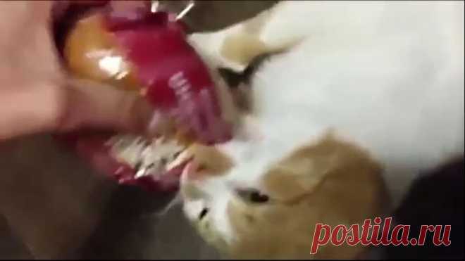 Кофе с солью. Почему