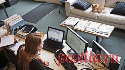 Свыше 11 тысяч подростков трудоустроили в июне на Кубани. Свыше 11 тыс. подростков трудоустроили в июне в Краснодарском крае, заявил губернатор Вениамин Кондратьев. Читать далее