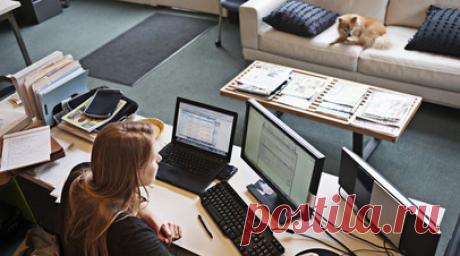 Свыше 11 тысяч подростков трудоустроили в июне на Кубани. Свыше 11 тыс. подростков трудоустроили в июне в Краснодарском крае, заявил губернатор Вениамин Кондратьев. Читать далее