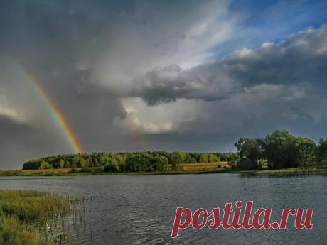 Google+