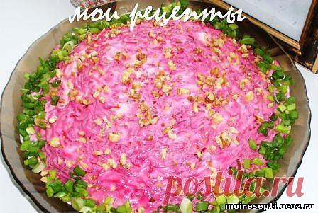 САЛАТЫ  - Каталог рецептов - Мои рецепты