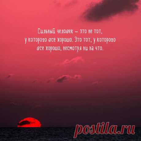 Житейская мудрость – Фитнес для мозга