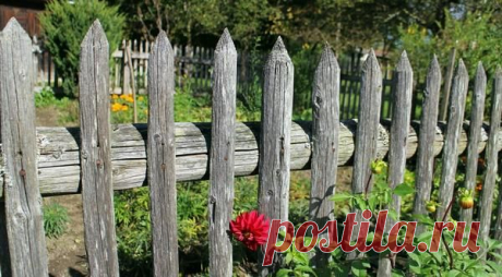 Дача: проблемы собственности и все, что с ними связано — 6 соток