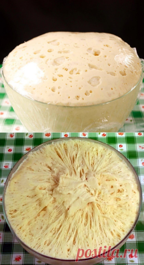 Тесто. Рецепт- просто Находка! Можно замораживать. Получается у всех! Времени на приготовление нужно всего 5 минут! Если вы &quot;боитесь&quot; теста или у вас мало времени на его приготовление - попробуйте этот рецепт. Готовлю я из этого теста Вкуснейшие пирожки, беляши, булочки, лепешки, пироги с разными начинками, плюшки, ватрушки, пиццу.