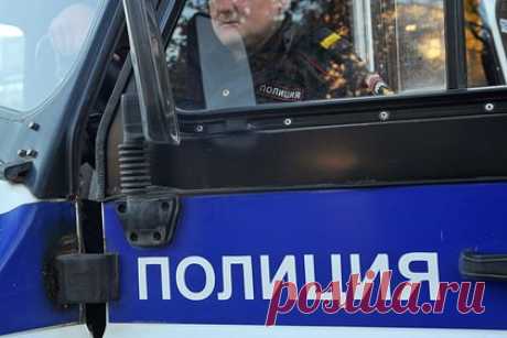 Просьбы о помощи волонтера «ЛизаАлерт» остались неуслышанными в последние минуты ее жизни