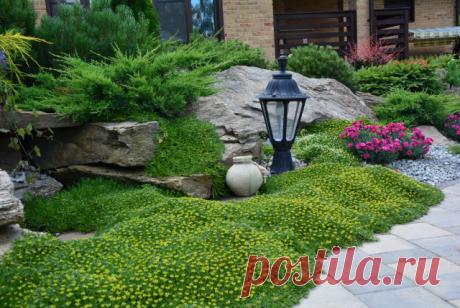 Проект недели: Трёхлетний альпийский сад в Подмосковье