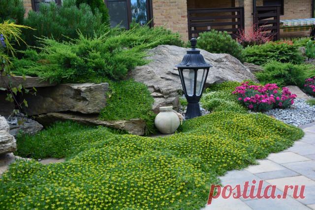 Проект недели: Трёхлетний альпийский сад в Подмосковье