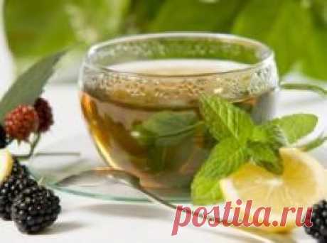 (+1) тема - Полезные свойства зеленого чая | Среда обитания