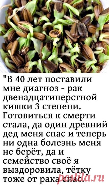 11 лечебных свойств черной смородины – ПОЛЕЗНАЯ ГРУППА