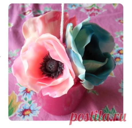 Vela de anémona rosa-Bordadora del soliloquio de maki