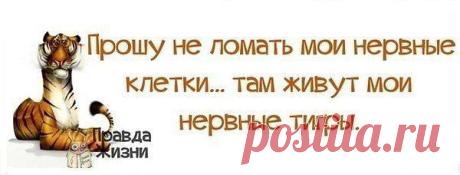 Интересные новости