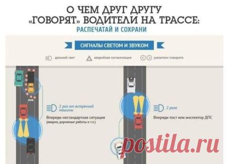 (6) Boroda.online - сурово о важном