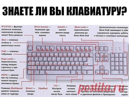 ЗНАЕТЕ ЛИ ВЫ КЛАВИАТУРУ НА СВОЁМ КОМПЬЮТЕРЕ?
F1— вызывает «справку» Windows или окно помощи активной программы. В Microsoft Word комбинация клавиш Shift+F1 показывает форматирование текста;
F2— переименовывает выделенный объект на рабочем столе или в окне проводника;
F3— открывает окно поиска файла или папки на рабочем столе и в проводнике. Комбинация клавиш Shift+F3 часто используется для поиска в обратном направлении;
F4— открывает выпадающий список, например, список строки адреса в окне ‘