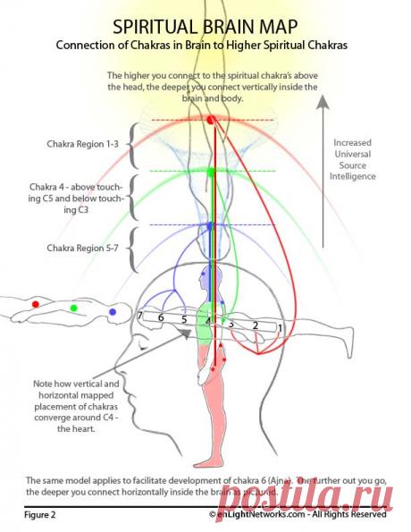 enLightNetworks | Spritual Brain Map