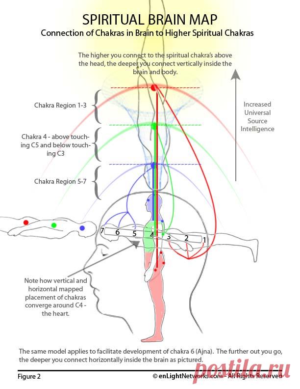 enLightNetworks | Spritual Brain Map