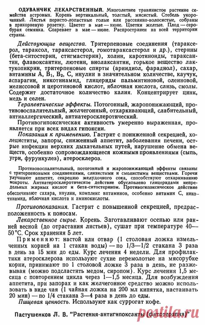Одуванчик лекарственный
