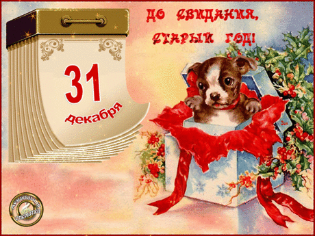 i-138352.gif (600×450)