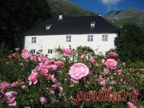 Teona Jerman приколол(а) это к доске Oh the places I wish to go | Pin…