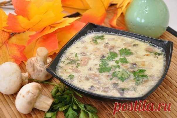 Грибной суп с сыром / Свежие рецепты