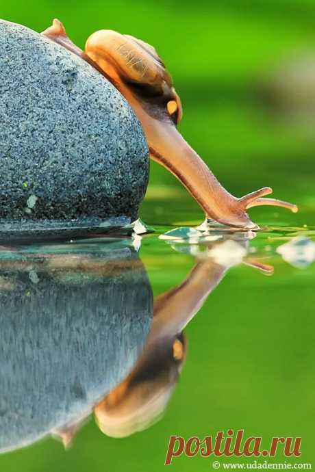Pinterest