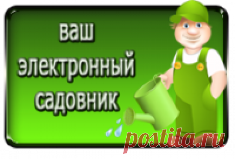 Как приготовить стимулятор роста растений + еще 5 секретов для дачи!