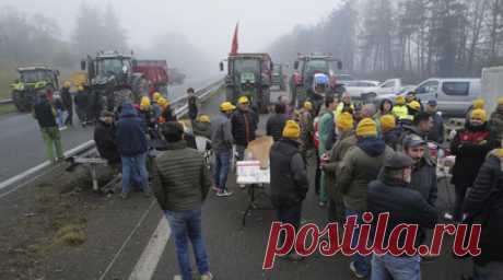 «Цепная реакция»: чем вызваны протесты французских фермеров. Французские фермеры объявили о начале акции по блокированию Парижа и трёх близлежащих департаментов 29 января. По словам организаторов протестного движения, с 14:00 (16:00 мск) фермеры начнут «бессрочную осаду столицы». Согласно их планам, ни один грузовик с продовольствием не должен попасть в Париж. Масштабные акции протеста фермеров начались во Франции 18 января. Сельхозпроизводители недовольны ростом импорта агропродукции и…