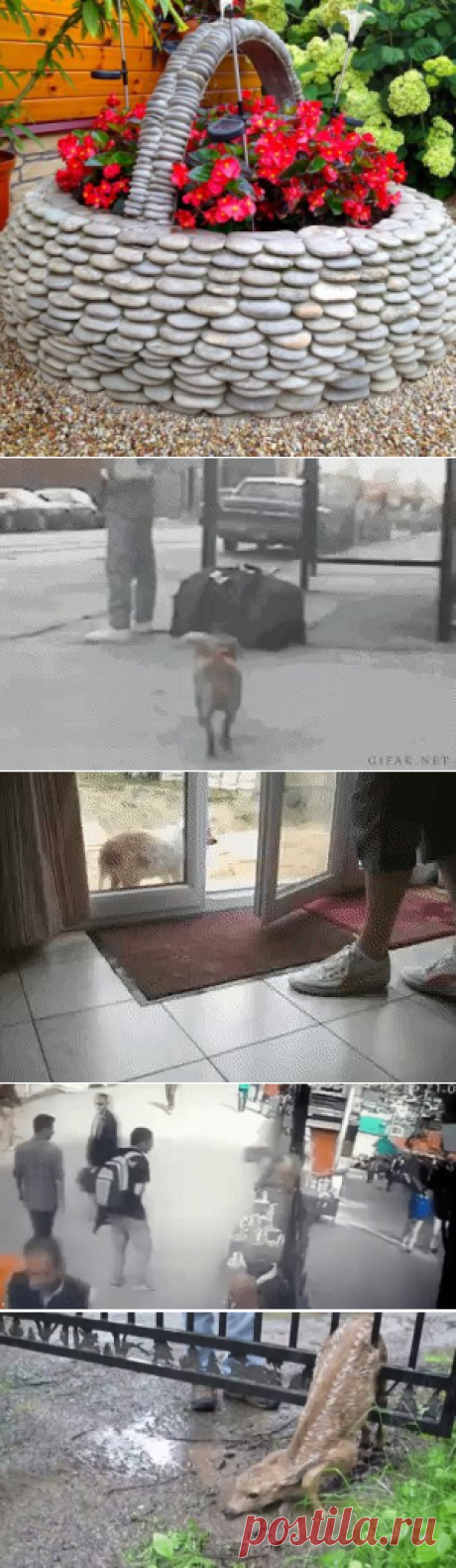 Одноклассники