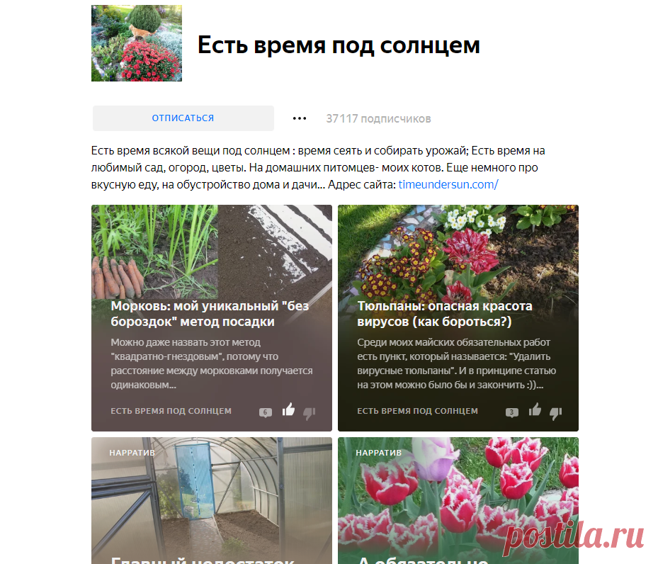 Есть время под солнцем | Яндекс Дзен