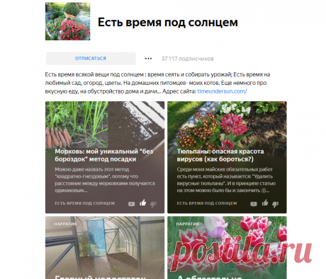 Есть время под солнцем | Яндекс Дзен