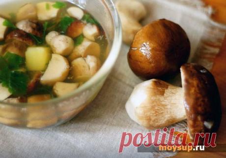 Суп из замороженных белых грибов