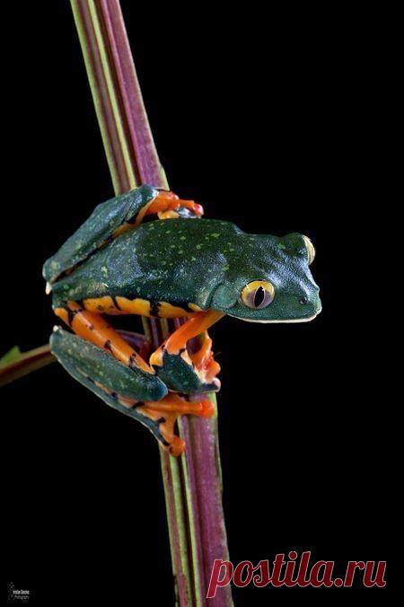 Fantástico Natureza,linda!!!