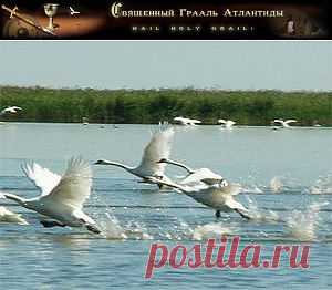 Братство