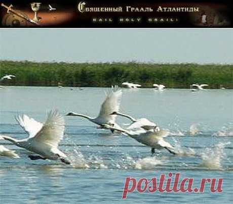 Братство