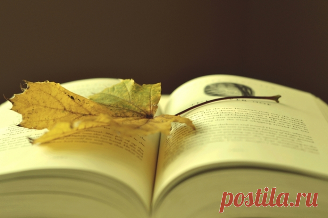 Переверну еще один лист - моя книга жизни