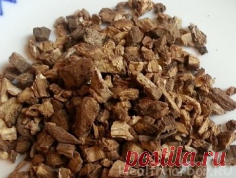 Как укрепить корни волос? (средства от выпадения) | Гавань здоровья