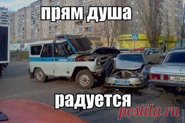 Смотрите и улыбайтесь! Смешные картинки с подписями