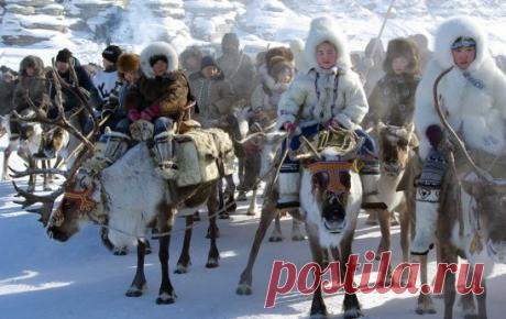 Автор Виктор Солодухин