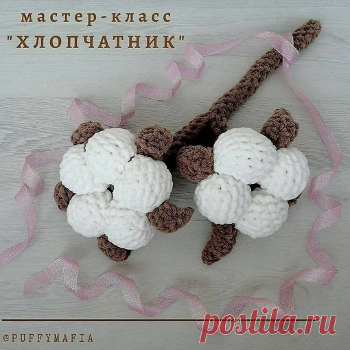 ​Цветение хлопчатника
