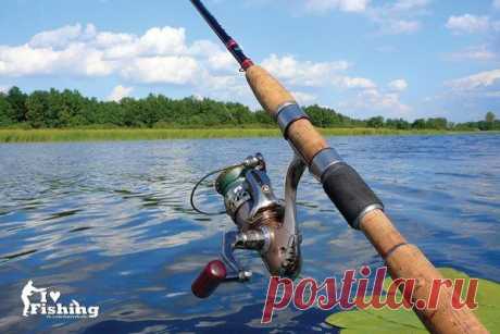 Спиннинг / Богатая добыча