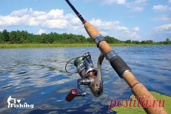 Спиннинг / Богатая добыча