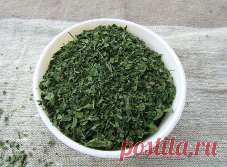 ЗУБНОЙ ПОРОШОК ИЗ КРАПИВЫ - отличное чистящее и лечебное средство.

Зубной порошок из крапивы готовится из листьев, цветов, семян и корней. Надо только собрать листья крапивы трижды за сезон. Первый сбор весной, как только появится первая крапива — в мае. Даже есть свой день по лунному календарю для лучшего сбора крапивы. Весенняя крапива это витамины для ваших зубов, десен и всего организма. Во время цветения (несколько дней цветет крапива!) — второй сбор крапивы. И трети...